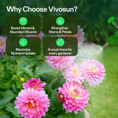 VIVOSUN Bloom Juice root-boosting formula supports healthy root development.