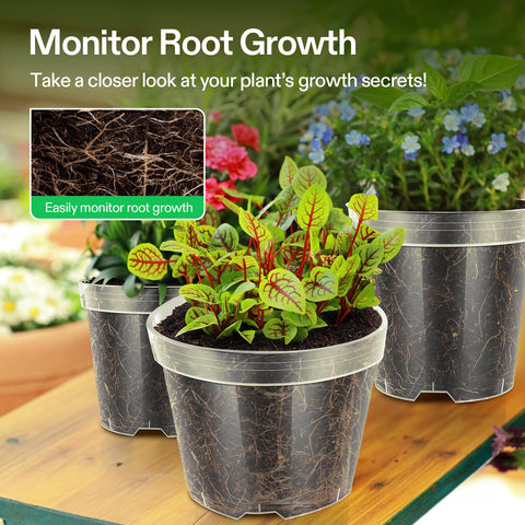 VIVOSUN 4-inch clear pots highlight moisture levels for seedlings.