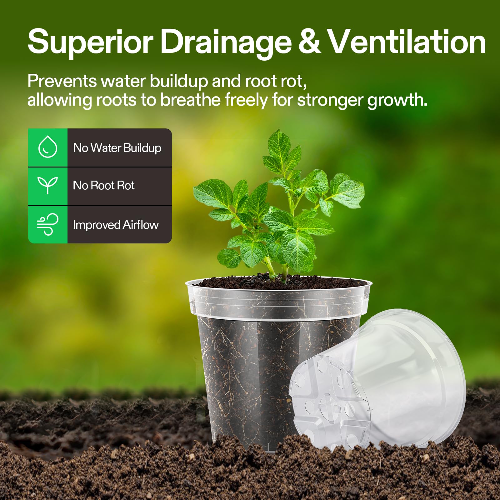 VIVOSUN clear seedling pots show root growth at a glance.