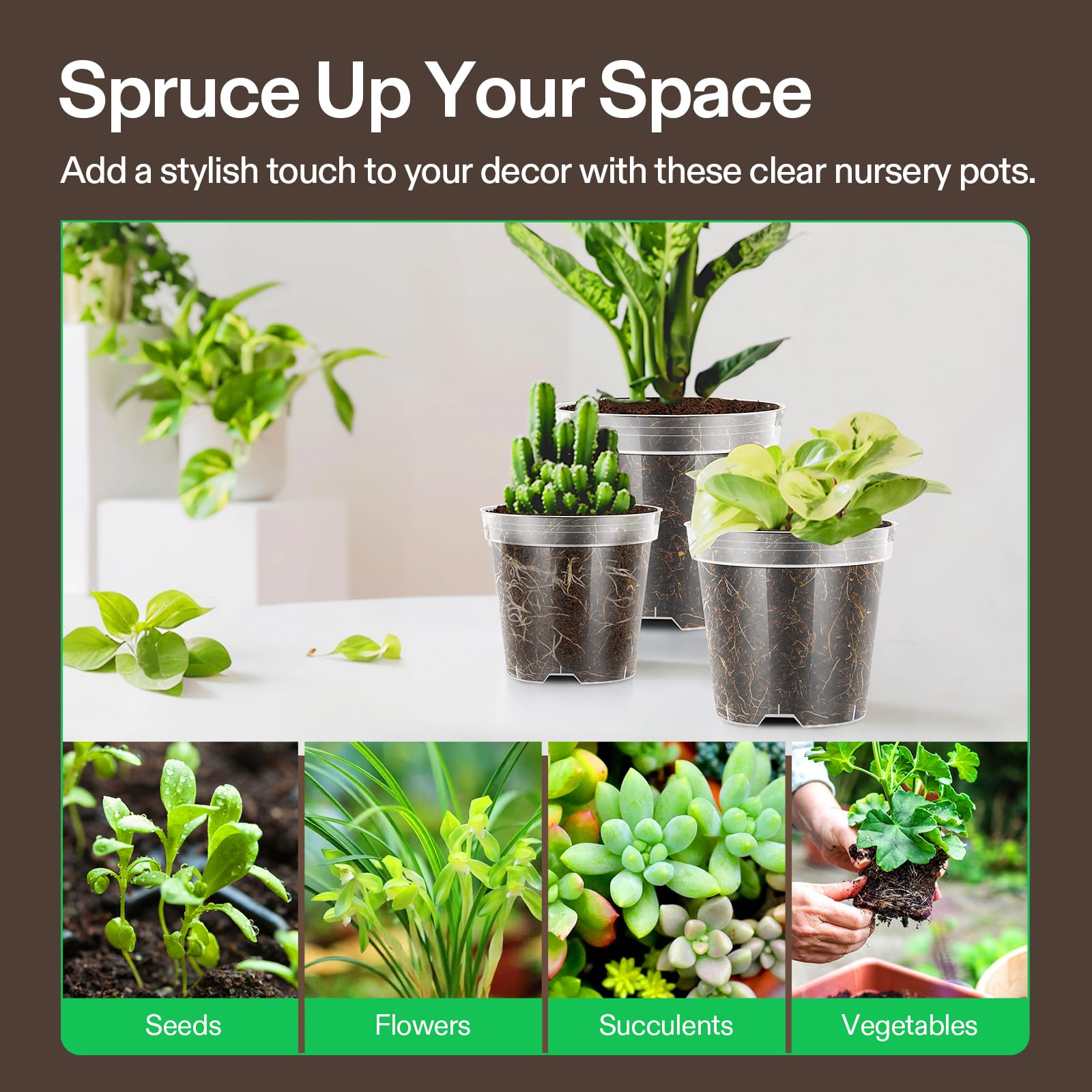 VIVOSUN clear-view pots showcase plant development indoors and outdoors.