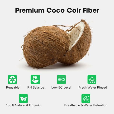 Expanded VIVOSUN coir provides aeration and moisture for healthy seedlings.