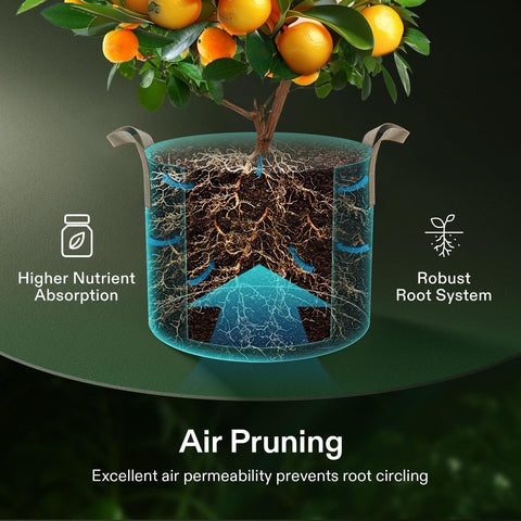 VIVOSUN grow bags offer drainage to prevent waterlogged soil and mold risk.