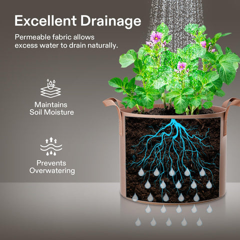 VIVOSUN grow bags highlighting drainage and mold prevention benefits