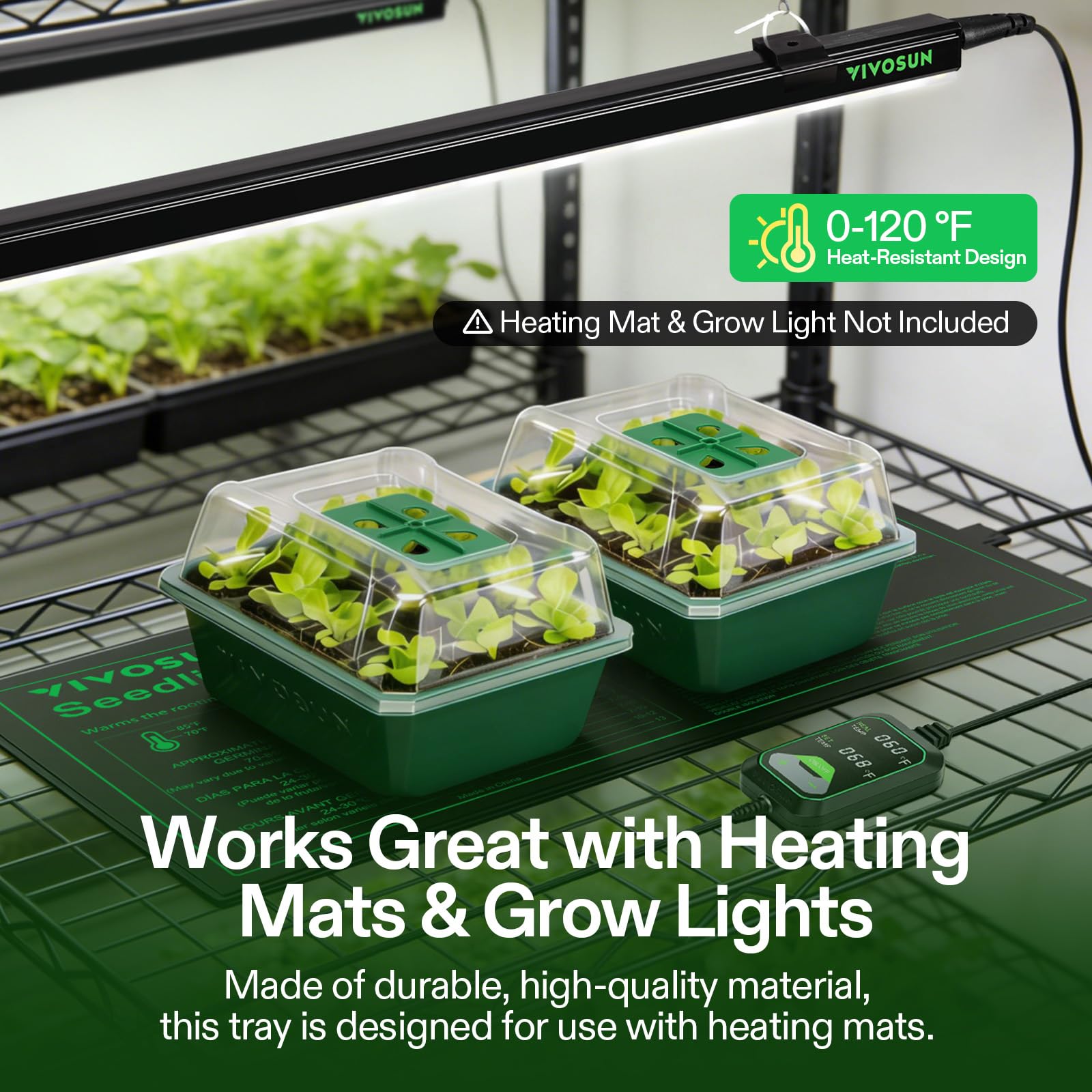 VIVOSUN seedling transplant readiness, easy removal from trays