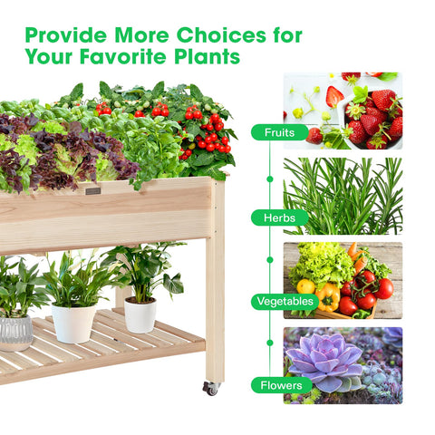 VIVOSUN gardening gloves included for clean, ready planting sessions.
