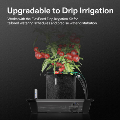 Reinforced handles enable easy transport and positioning.
