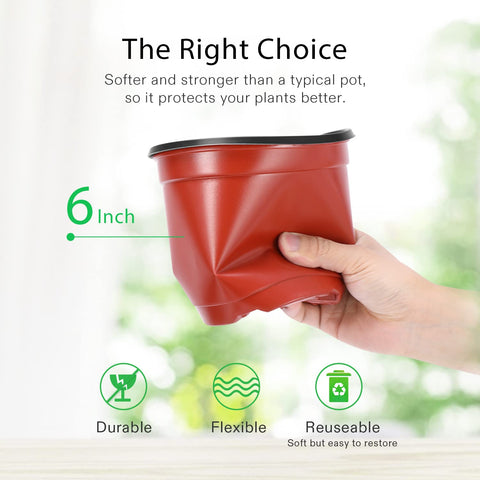 VIVOSUN flexible root-growth pots support easy transplanting