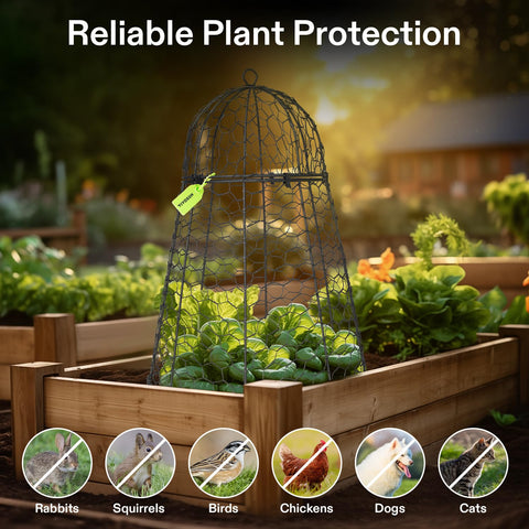 VIVOSUN cloche featuring folding stakes helps secure plants in windy conditions.