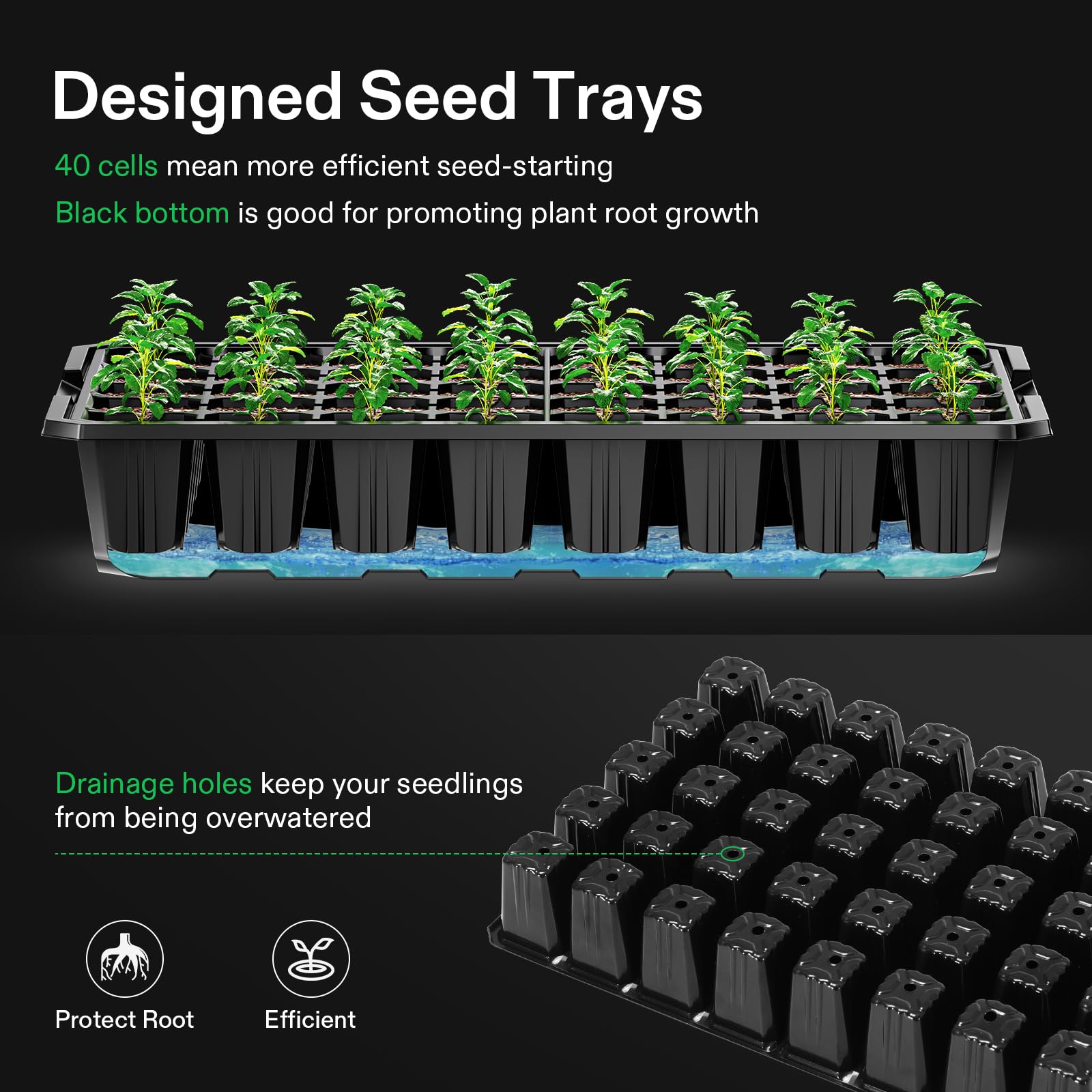 VIVOSUN green propagation tray keeps seedlings organized and accessible.
