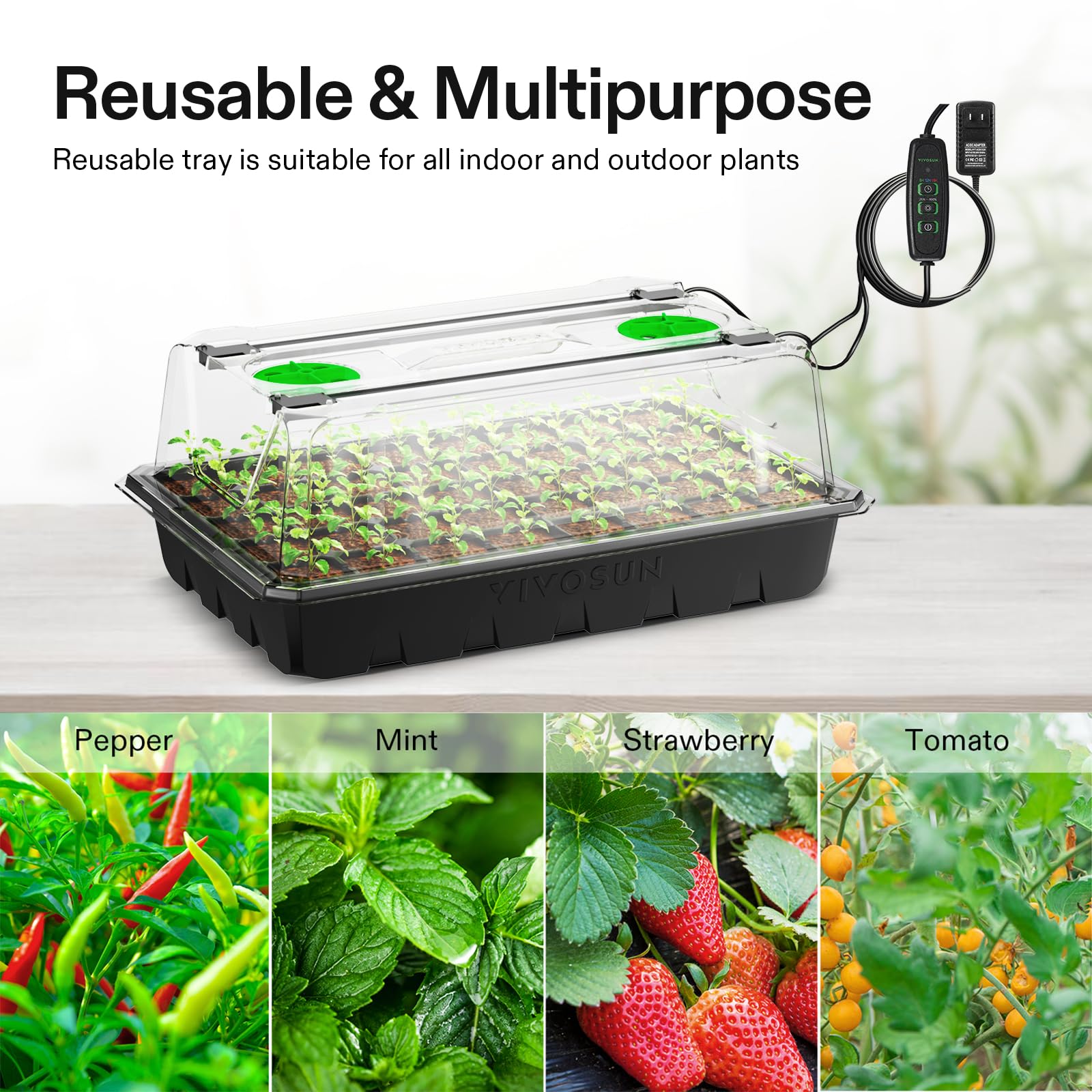 VIVOSUN-green-propagation-tray supports thriving seed growth in a compact setup.
