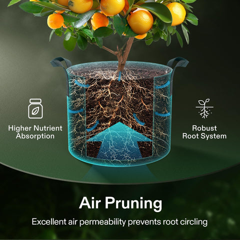 VIVOSUN grow bag's reinforced nylon handles for easy transport and repositioning