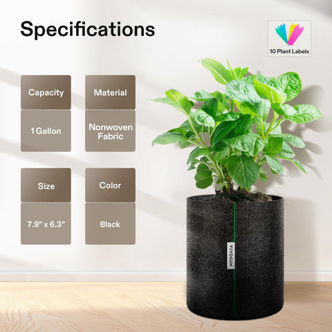 VIVOSUN transplant-ready grow bags ideal for clean unwrapping during transplant.