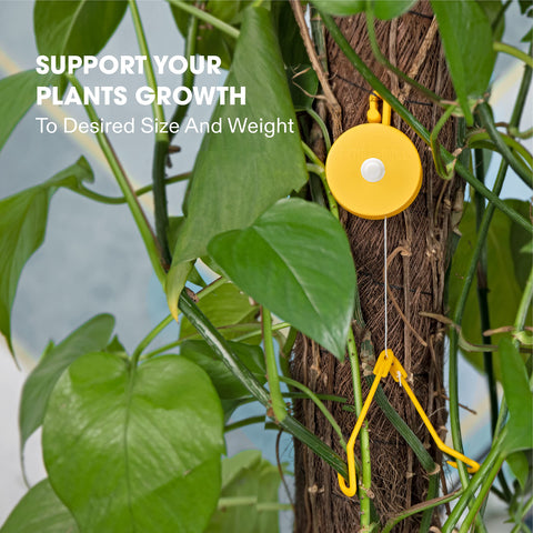VIVOSUN heavy-cropping truss support for taller, fruiting plants