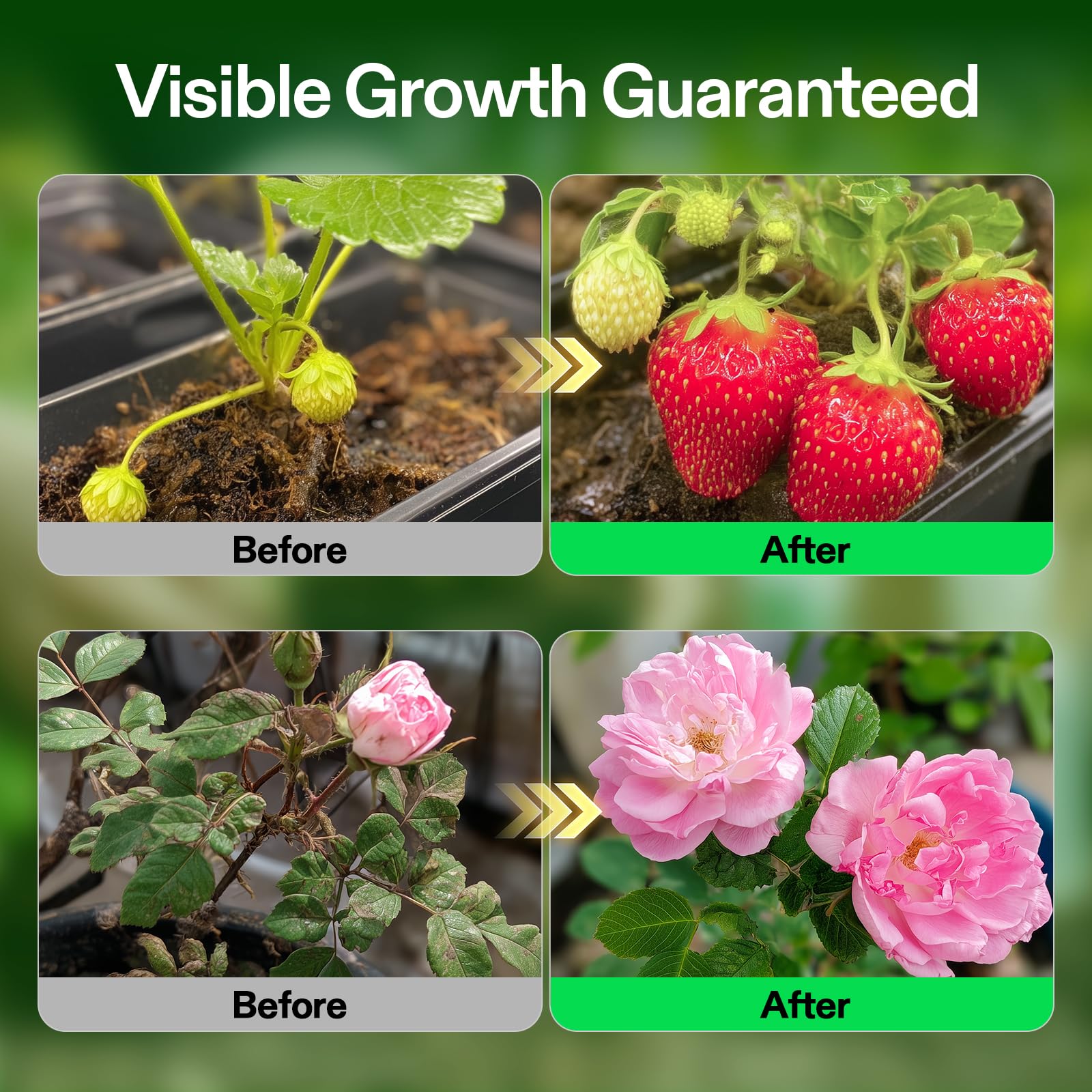 VIVOSUN Hydroponic-compatible media shot emphasizes broad plant compatibility.