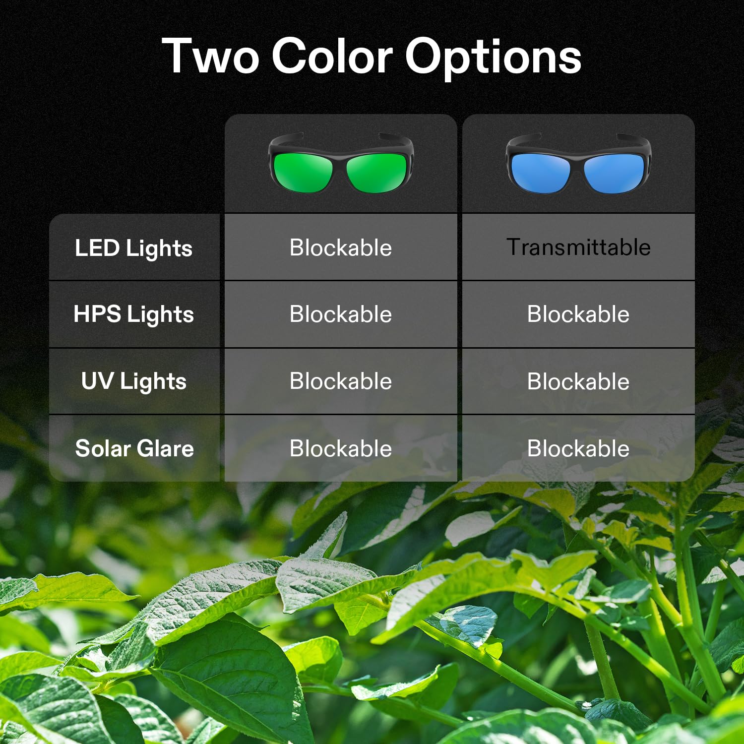 VIVOSUN hydroponics viewing glasses help observe plant development clearly