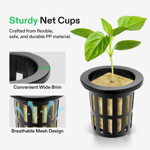 VIVOSUN hydroponics setup with cubes and net pots ready to grow