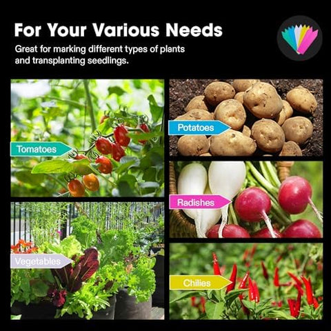 Versatile indoor/outdoor use for potatoes, herbs, and flowers with VIVOSUN
