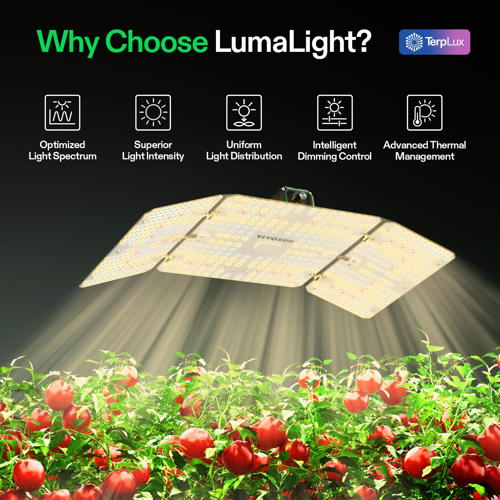 VIVOSUN LumaLight 200W dimming knob demonstrates easy four-stage intensity control