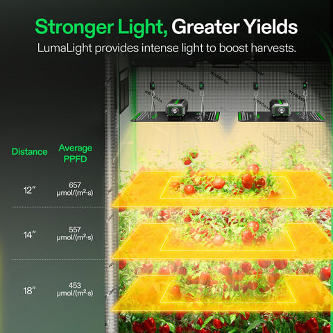 VIVOSUN LumaLight multi-spectrum LEDs deliver balanced brightness across canopy.