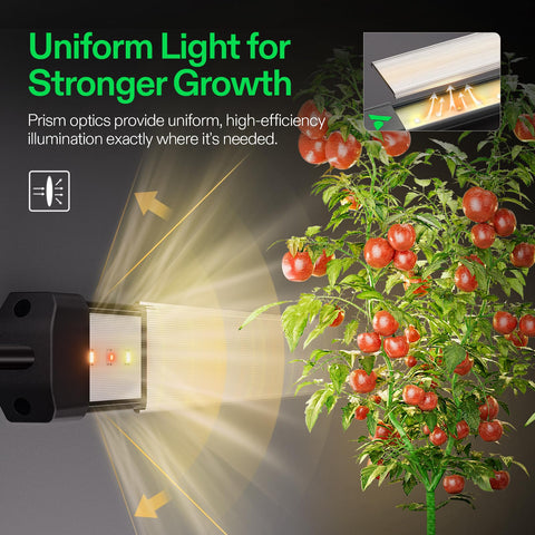 VIVOSUN Lumaray 60percent red-spectrum enhances flowering potential