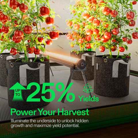 VIVOSUN LumaRay red-enhanced spectrum aiding flowering stages