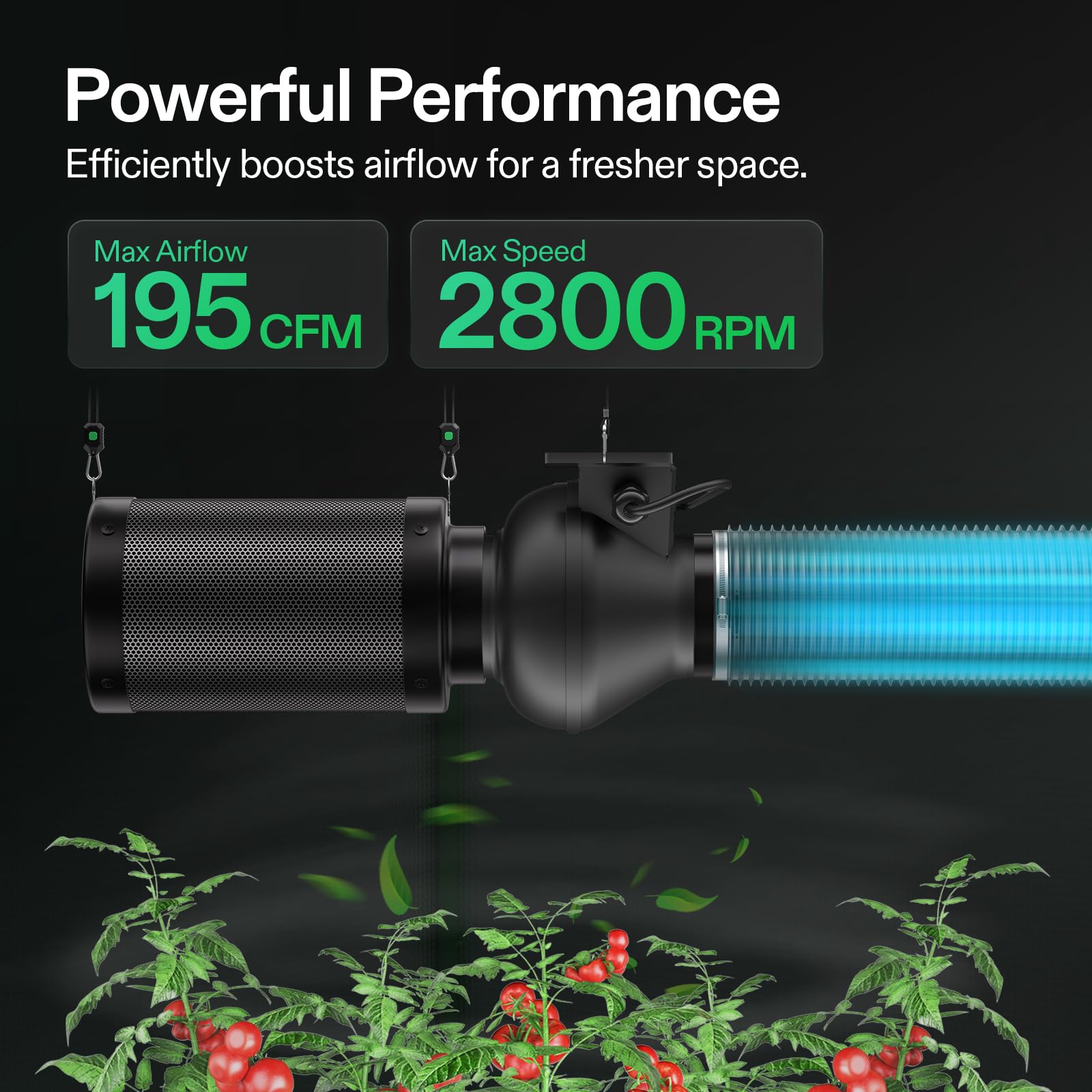 VIVOSUN M4 safety features with automatic reset and overload protection.
