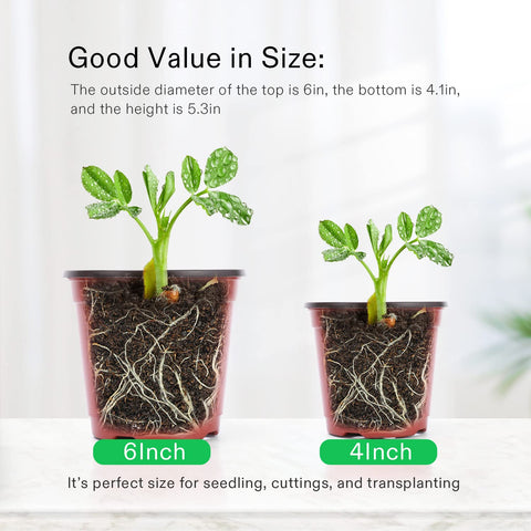 VIVOSUN nine-hole drainage pots ensure proper water flow