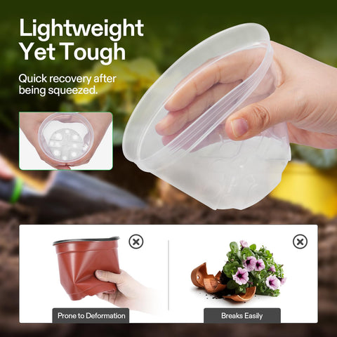 VIVOSUN 6-inch clear pots offer drainage and air circulation for healthy roots.