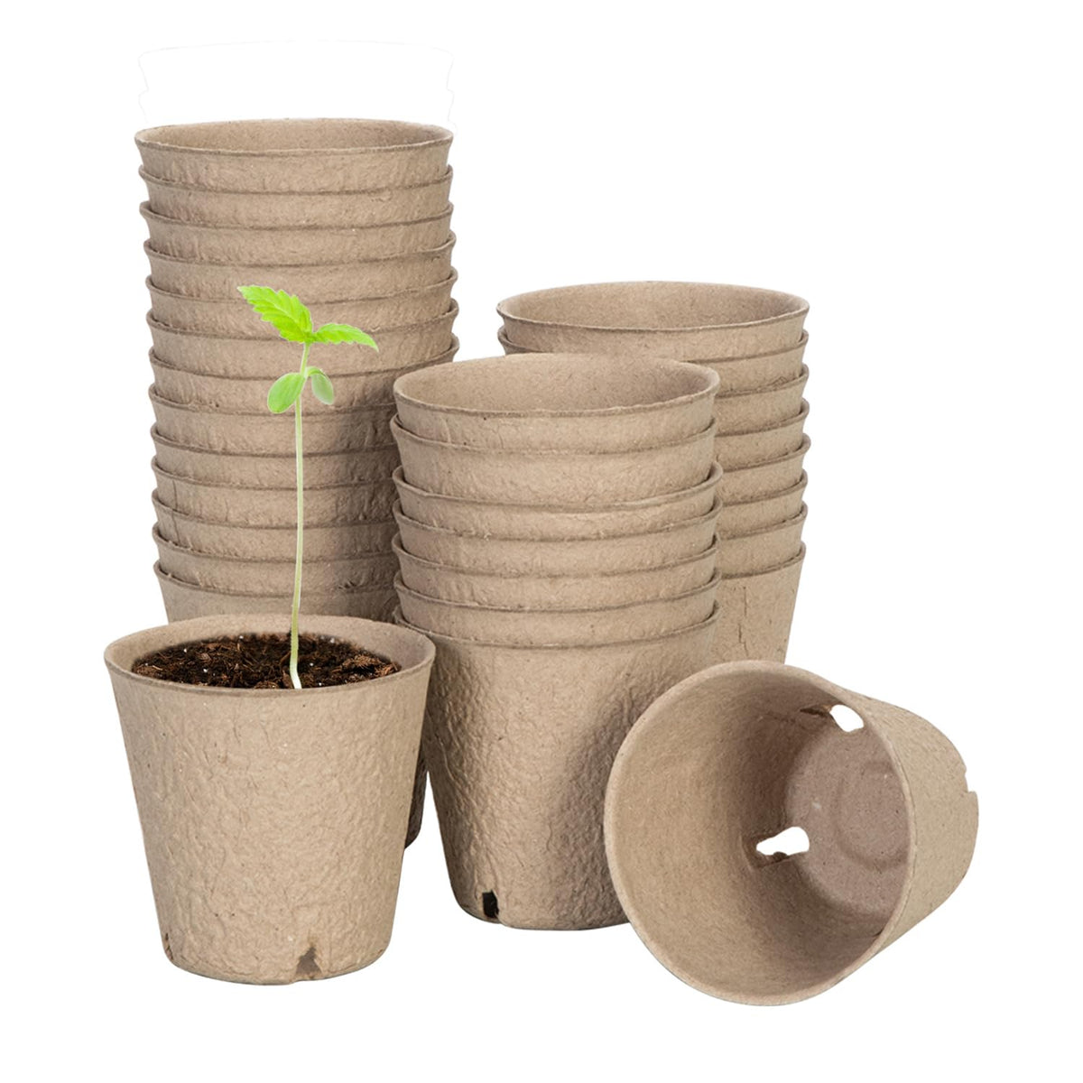 VIVOSUN peat pots 3-15 inch seed starting pots with drainage holes support healthy roots
