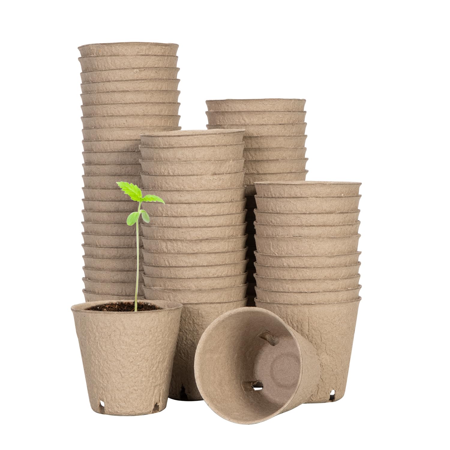 VIVOSUN peat pots top view for compact seed starting.