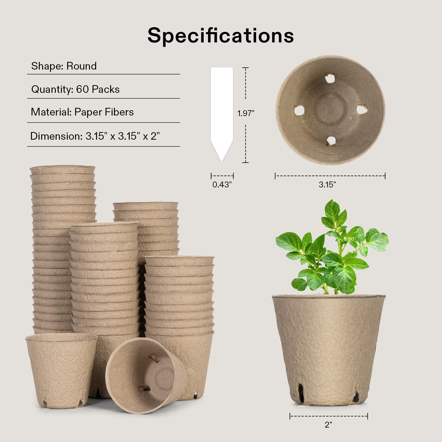 VIVOSUN peat pots close-up with drainage holes supporting roots.