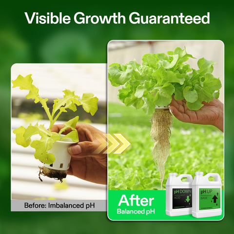 VIVOSUN digital pH meter usage demonstrates easy drops for steady pH control.