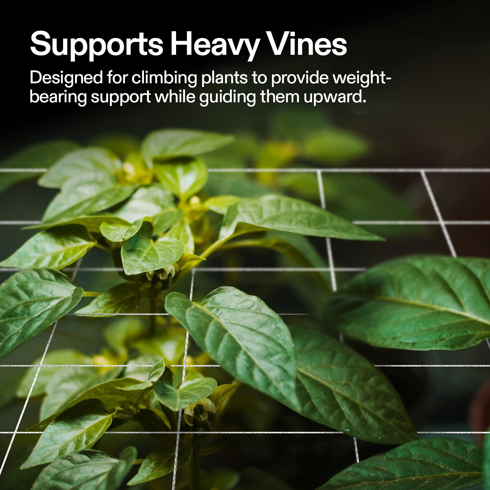 VIVOSUN heavy-duty polyester netting for vertical and horizontal gardening.