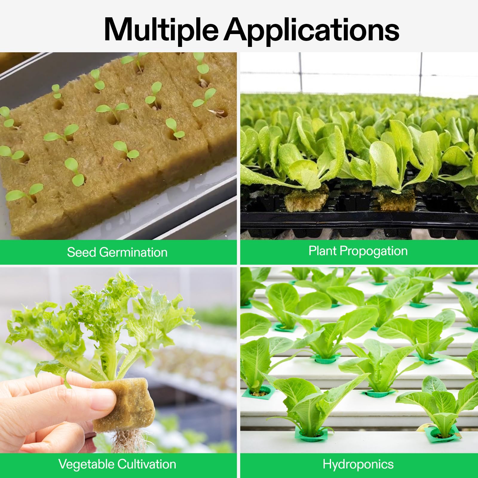 Easy-to-cut rockwool cubes with pre-made holes for seedlings