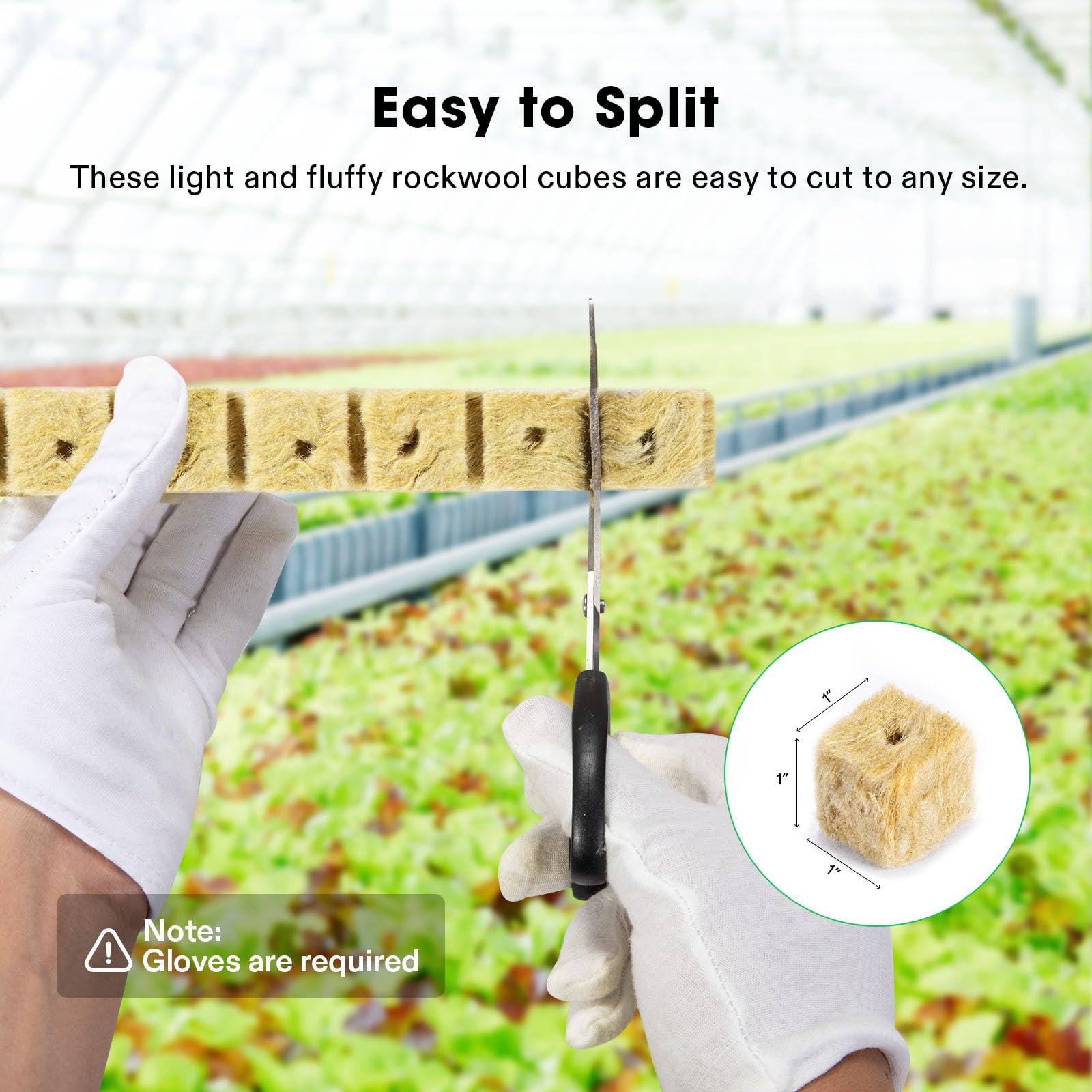 VIVOSUN 1-Inch cubes are sterile and moisture-retentive for hydration.