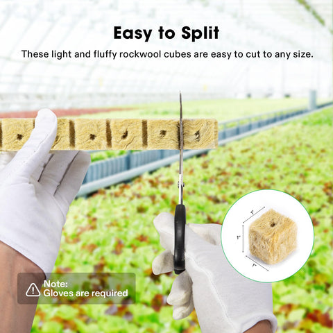 VIVOSUN 1-Inch cubes are sterile and moisture-retentive for hydration.