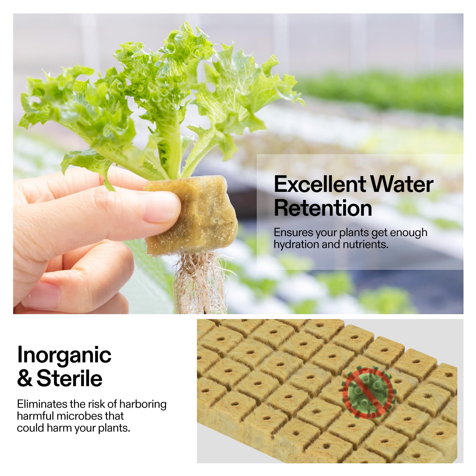 VIVOSUN rockwool cubes ideal for hydroponics and cloning setups.