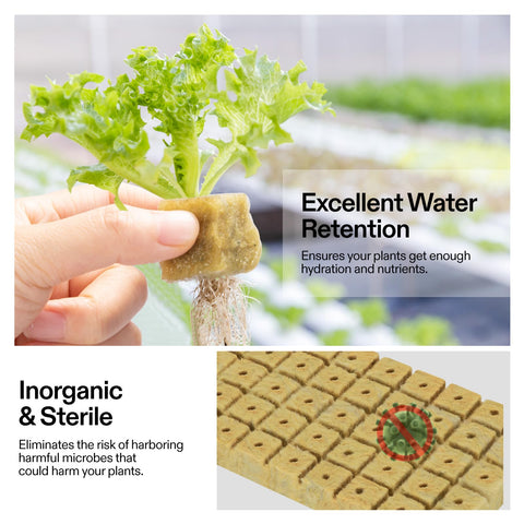 VIVOSUN rockwool cubes ideal for hydroponics and cloning setups.