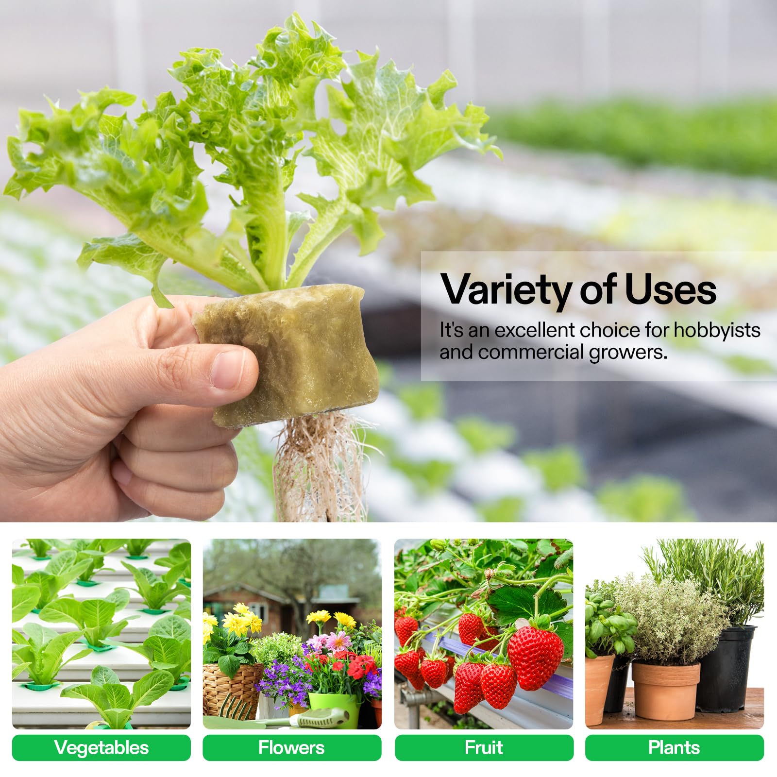 VIVOSUN rockwool propagation plugs designed for cuttings and rapid rooting