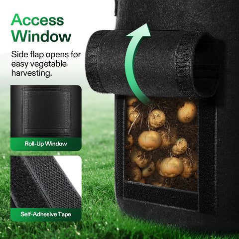 VIVOSUN roll-up window helps quick access to potatoes.