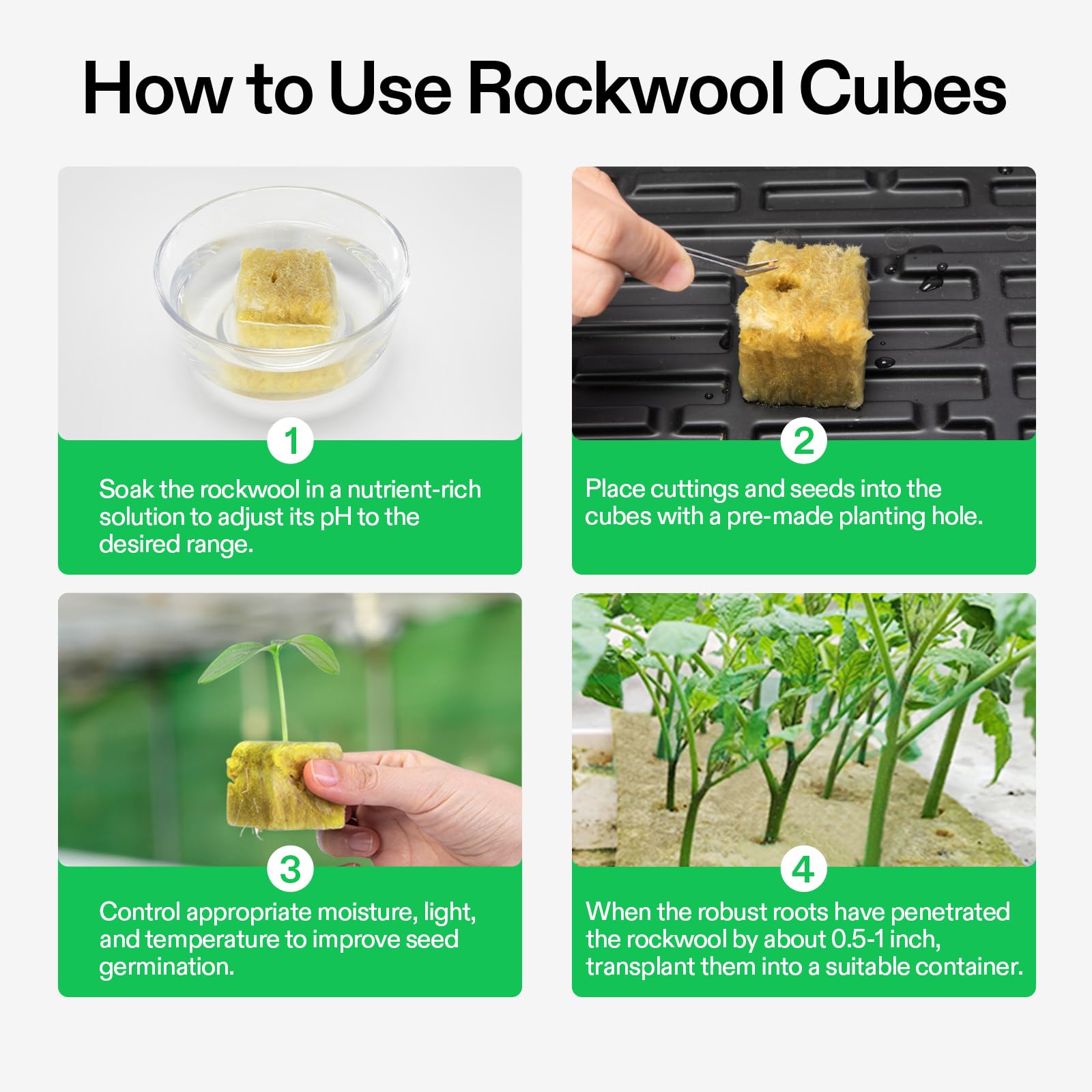 VIVOSUN rockwool for root development and strong growth
