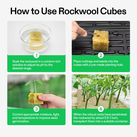 VIVOSUN rockwool for root development and strong growth