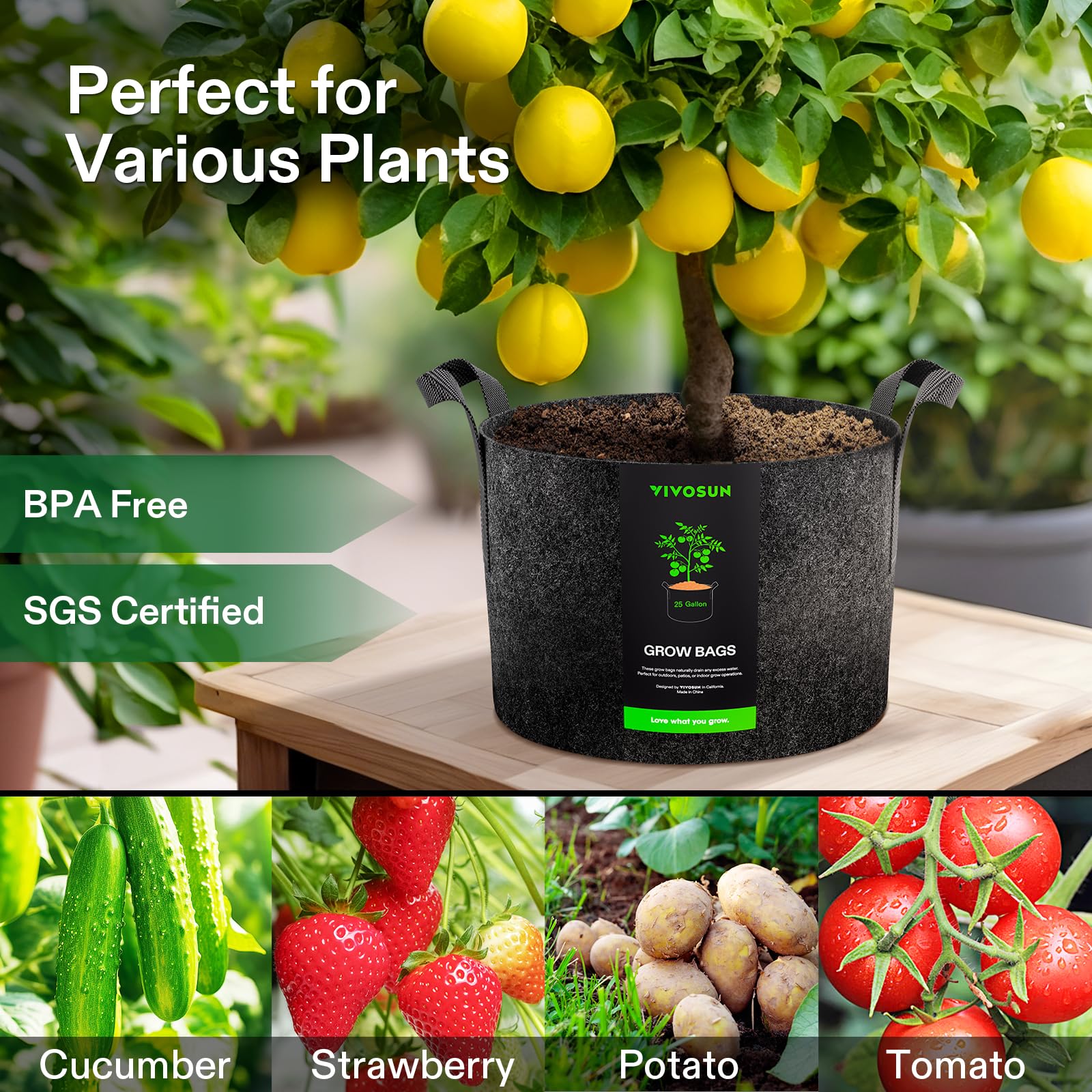 Root-friendly design of VIVOSUN bags promoting healthy plant growth.