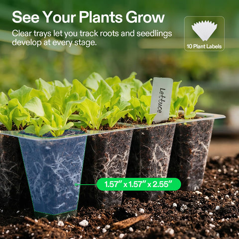 VIVOSUN seed starter tray showing drain holes to prevent overwatering and protect roots