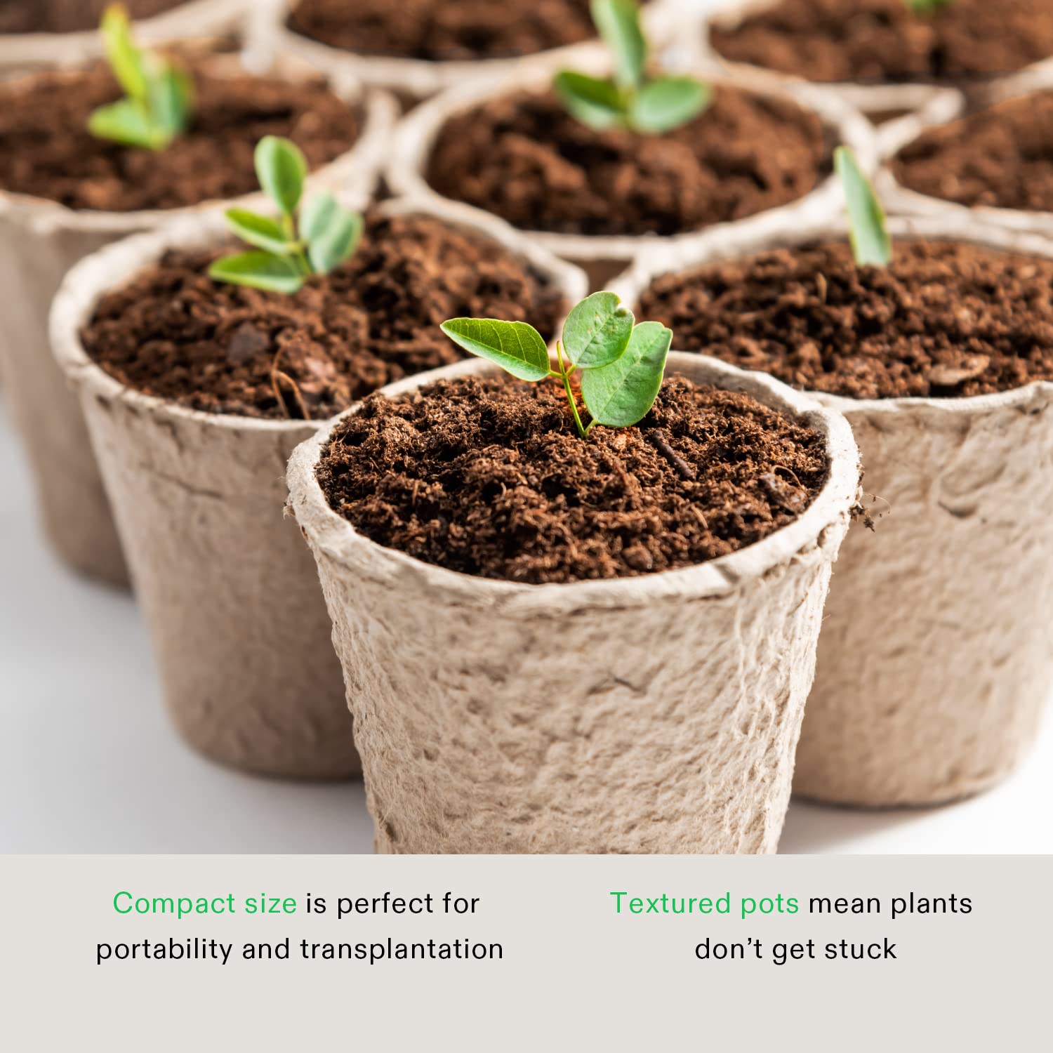 VIVOSUN seedling pot in soil ready for transplant.