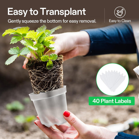 VIVOSUN pots ideal for seedlings, cuttings, flowers, and succulents.