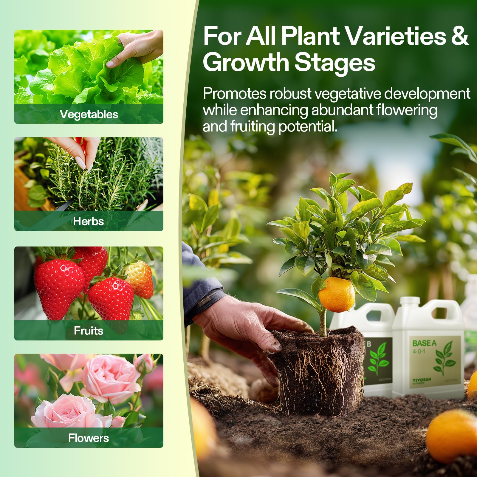 VIVOSUN nutrient system compatible with soil, hydroponics, aquaponics, and coco coir