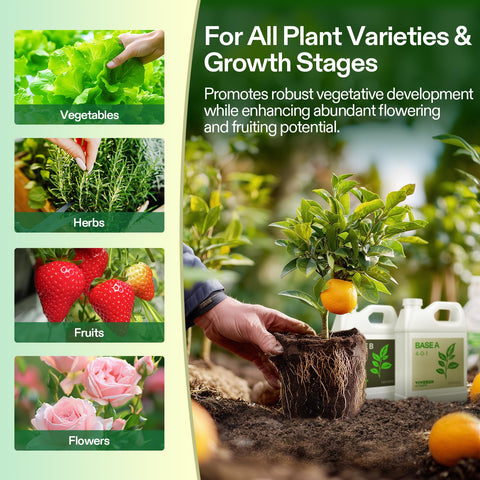 VIVOSUN nutrient system compatible with soil, hydroponics, aquaponics, and coco coir