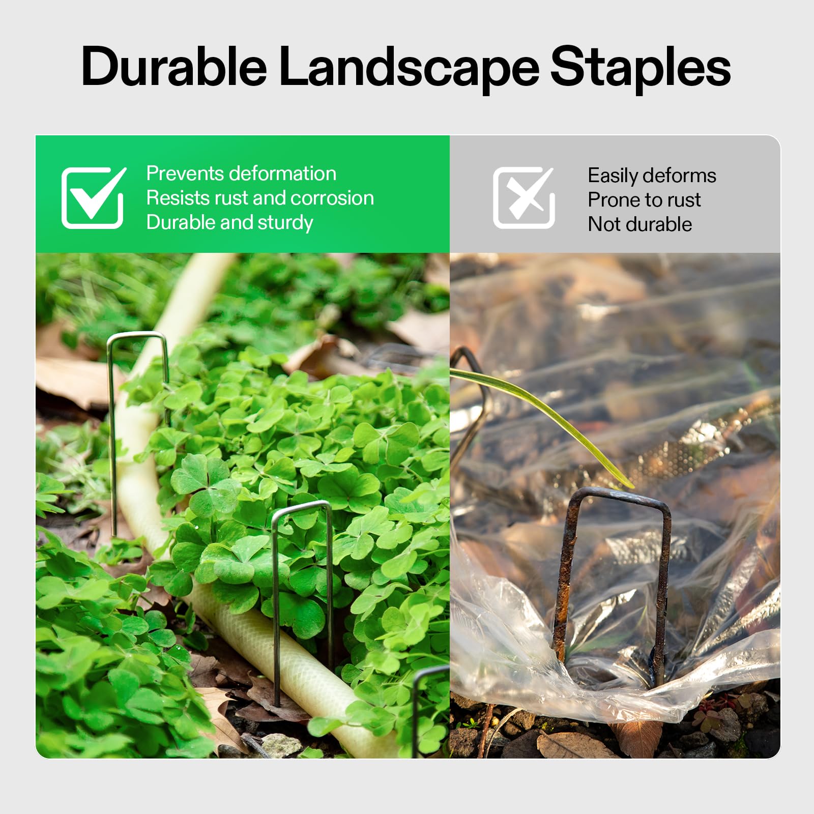 VIVOSUN stakes organize irrigation tubing and edging installations.