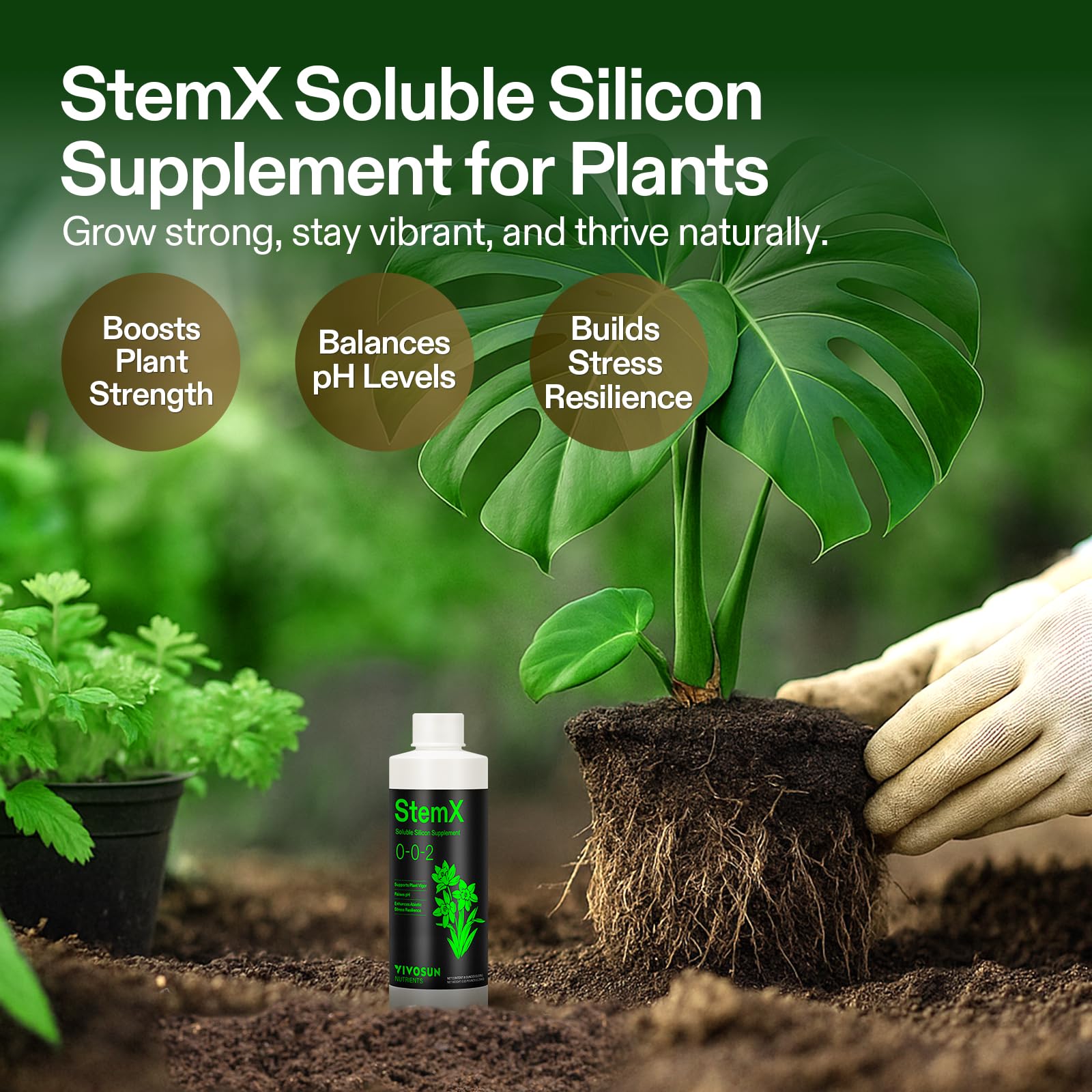 VIVOSUN StemX liquid silicate application promotes faster nutrient uptake